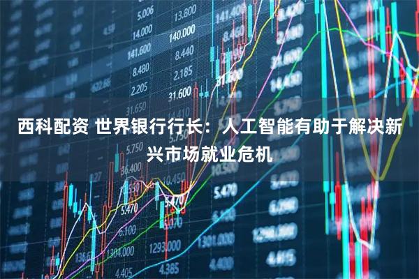 西科配资 世界银行行长：人工智能有助于解决新兴市场就业危机