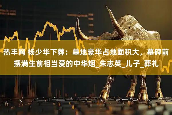 热丰网 杨少华下葬：墓地豪华占地面积大，墓碑前摆满生前相当爱的中华烟_朱志英_儿子_葬礼